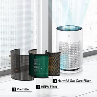Thorough air purification.
