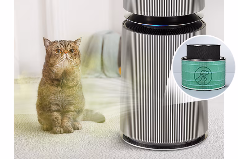 Minimize pet odor. Maximize fresh air