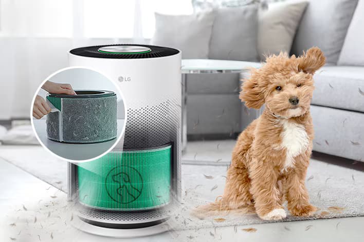 Better air. Less pet hair